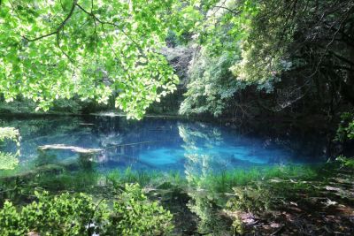 遊佐町・丸池様