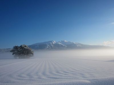 遊佐町・冬の日の田んぼと鳥海山