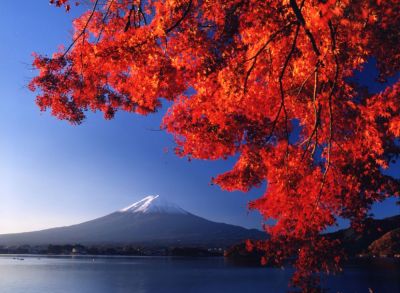 富士河口湖町・紅葉と富士山